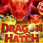 Dragon Hatch