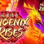 Phoenix Rises